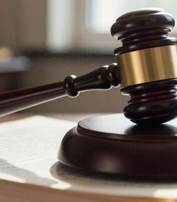 Are guardian ad litems immune to prosecution