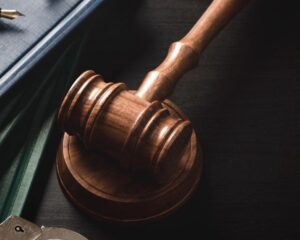 imgi_53_imgi_4_78761494-2e29-4a5d-8b40-99060b45ed29