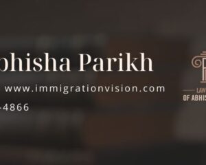 immigration-vision-cover-image