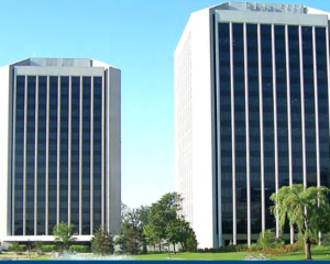 TPF-office-4-1.png-1